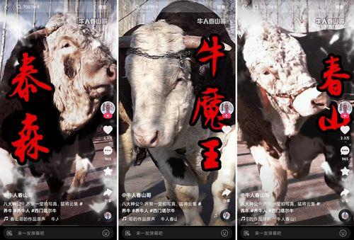 牛人在线视频观看